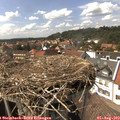 15_15-nest.jpg