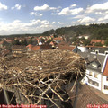 15_20-nest.jpg