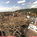 15_25-nest.jpg