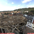 15_30-nest.jpg