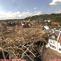 15_35-nest.jpg