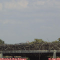 15_40-mast.jpg