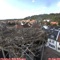 15_40-nest.jpg