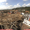 15_50-nest.jpg