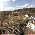 15_55-nest.jpg