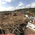 16_05-nest.jpg