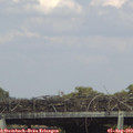 16_10-mast.jpg