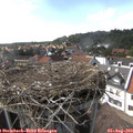 16_10-nest.jpg