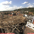 16_15-nest.jpg