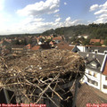16_20-nest.jpg