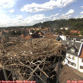 16_25-nest.jpg