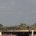 16_30-mast.jpg