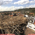 16_30-nest.jpg