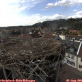16_35-nest.jpg
