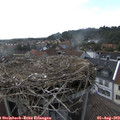16_40-nest.jpg