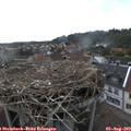 16_45-nest.jpg