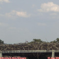 16_55-mast.jpg