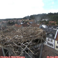 16_55-nest.jpg