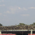 17_05-mast.jpg