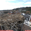 17_05-nest.jpg