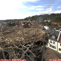 17_10-nest.jpg