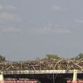 17_15-mast.jpg