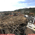 17_15-nest.jpg
