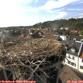 17_25-nest.jpg