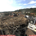 17_35-nest.jpg