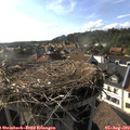 17_45-nest.jpg