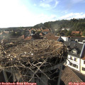 17_50-nest.jpg