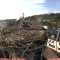 18_15-nest.jpg