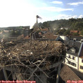 18_20-nest.jpg