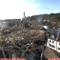 18_30-nest.jpg