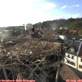 18_35-nest.jpg