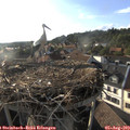 18_40-nest.jpg