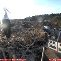 19_10-nest.jpg