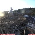 20_00-nest.jpg