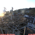20_15-nest.jpg