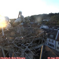 20_20-nest.jpg