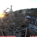 20_25-nest.jpg