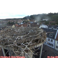 06_10-nest.jpg
