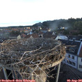 06_30-nest.jpg
