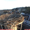 06_35-nest.jpg