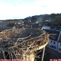06_40-nest.jpg