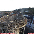 06_45-nest.jpg
