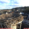 06_55-nest.jpg
