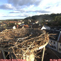 07_00-nest.jpg