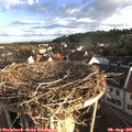 07_05-nest.jpg