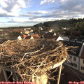 07_10-nest.jpg